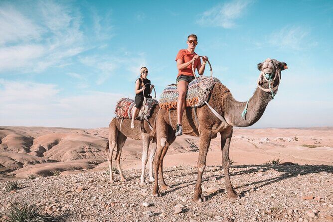 Majorel garden with lunch and camel ride Experience in Agafay - What’s Included and What’s Not