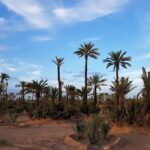Majorelle Garden and Camel Ride Tour from Marrakech - The Sum Up