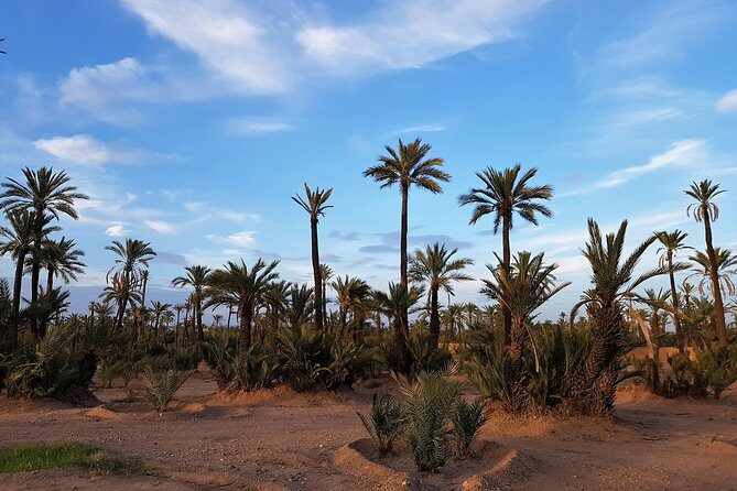 Majorelle Garden and Camel Ride Tour from Marrakech - The Sum Up