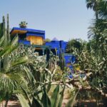 Majorelle Garden Berber and Yves Saint Laurent Museum Entry - What to Expect from Your Visit
