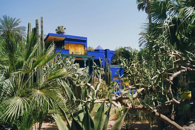 Majorelle Garden Berber and Yves Saint Laurent Museum Entry - What to Expect from Your Visit