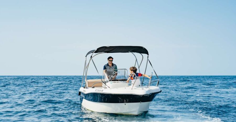Malaga: License-free Boat Rental for Dolphin Watching - Navigating the Itinerary