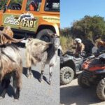 Malia: Off-Road Quad Safari Tour with Lunch and Transfers - The Coastal Off-Road Ride and Village Streets