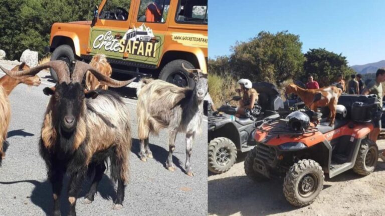 Malia: Off-Road Quad Safari Tour with Lunch and Transfers - The Coastal Off-Road Ride and Village Streets