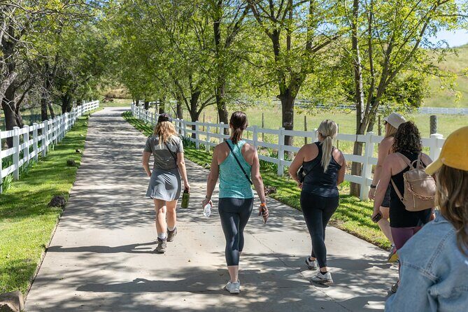 Malibu: Guided Vineyard Hike with Photo Stops and Wine - The Sum Up: Is It Worth It?