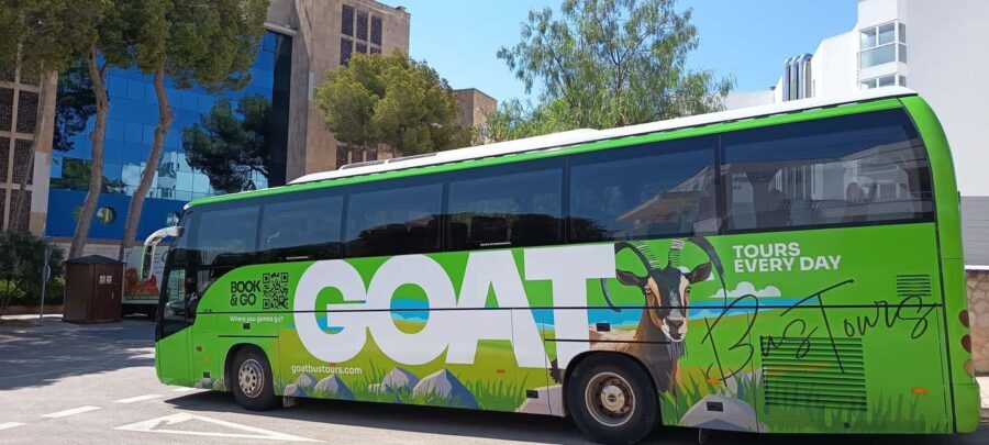 Mallorca: 3-hour bus tour around Calvià with 2 stops - Transportation and Group Size