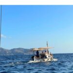 Mallorca: Alcudia, Private Boat Tour to Formentor & Pollensa - What Makes This Tour Stand Out?