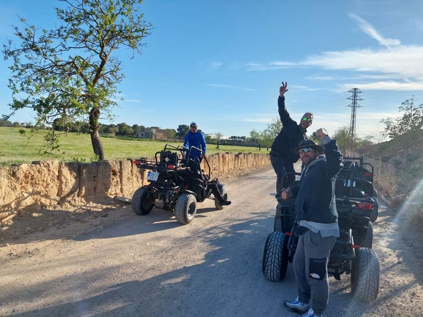 Mallorca: Buggy Tour Adventure with Cove Swimming - The Sum Up