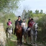 Mallorca: Guided Horseriding Tour of Randa Valley - The Horses and Guides