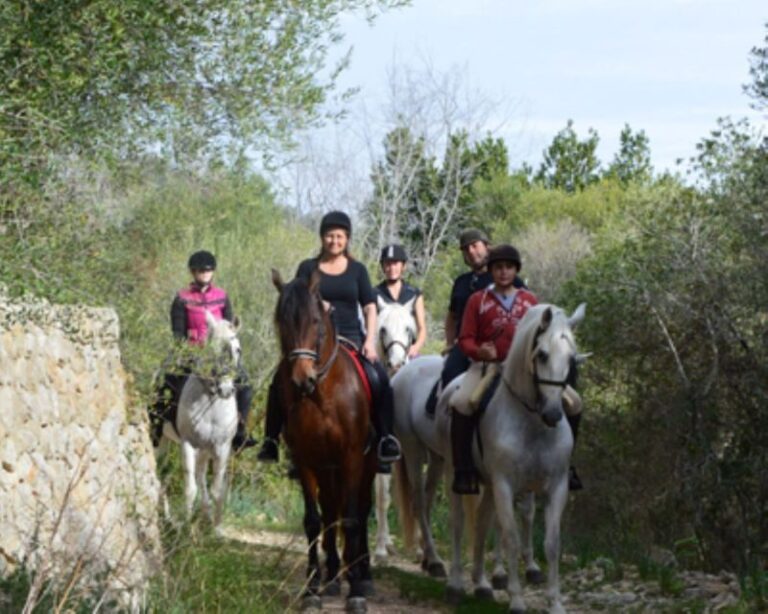 Mallorca: Guided Horseriding Tour of Randa Valley - The Horses and Guides