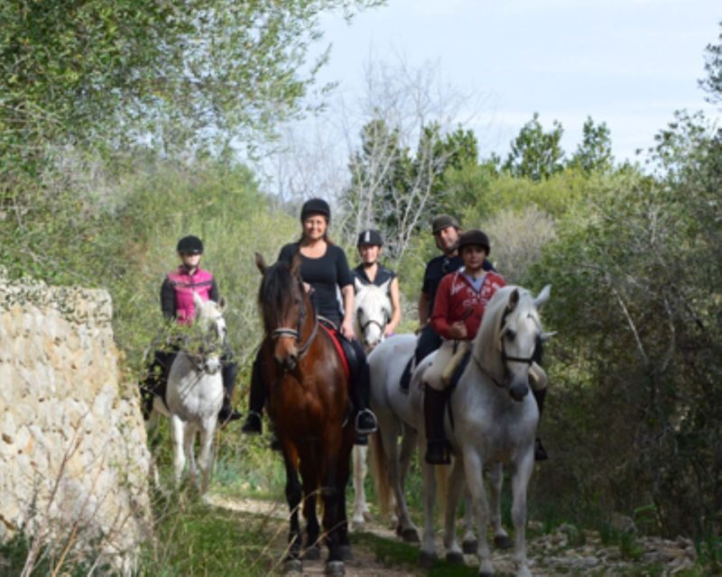 Mallorca: Guided Horseriding Tour of Randa Valley - The Horses and Guides