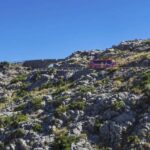 Mallorca Island Tour with Boat, Train, Tram and Bus - A Detailed Look at the Mallorca Island Tour