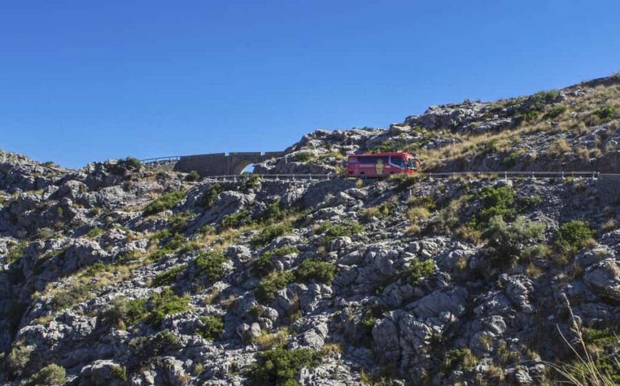 Mallorca Island Tour with Boat, Train, Tram and Bus - A Detailed Look at the Mallorca Island Tour