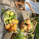 Mallorca Orange Valley Vintage train and orange farm - The Sum Up