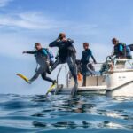Mallorca: Scuba Dive Adventure Cap Formentor - 1 Dive (license required) - What the Tour Entails: From Meeting to Moment of Magic