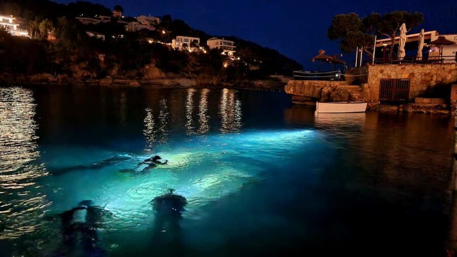 Mallorca: Scuba Diving for Beginners - Who Should Consider This Experience?