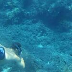 Mallorca: Sóller Boat Tour with Snorkeling and Snacks - FAQ