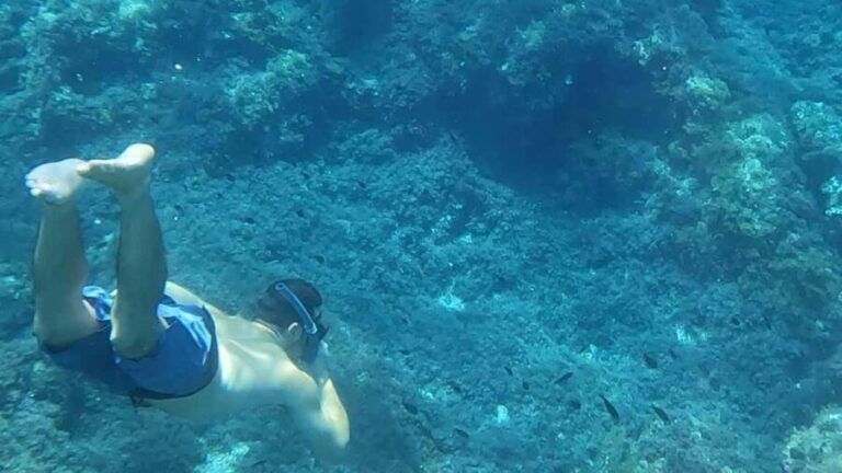 Mallorca: Sóller Boat Tour with Snorkeling and Snacks - FAQ