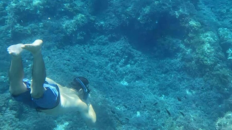 Mallorca: Sóller Boat Tour with Snorkeling and Snacks - FAQ