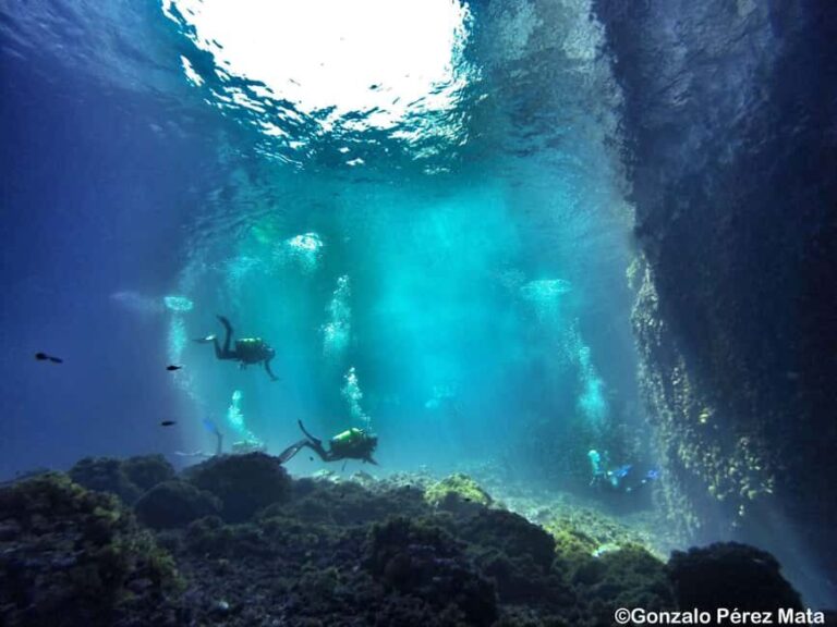Malta: Beginner Scuba Diving with Dive Registration - Practical Details and Value