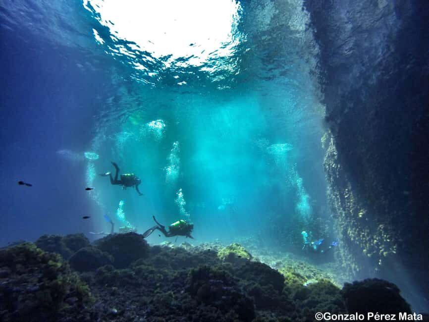 Malta: Beginner Scuba Diving with Dive Registration - Practical Details and Value