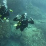 Malta St Pauls Bay: PADI Discover Scuba Diving Experience - Who Will Love This Experience?