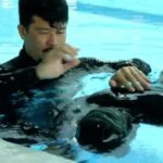 Malta: Try Freediving SSI - Freediving initiation with an instructor in French - Equipment and Safety Measures
