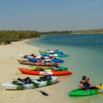 Mangrove Kayaking Abu Dhabi - What Makes This Tour Stand Out