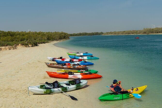 Mangrove Kayaking Abu Dhabi - What Makes This Tour Stand Out