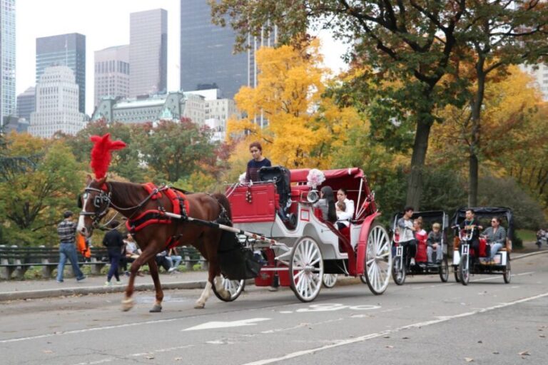 Manhattan: VIP Private Horse Carriage Ride in Central Park - The Landmarks and Their Charm