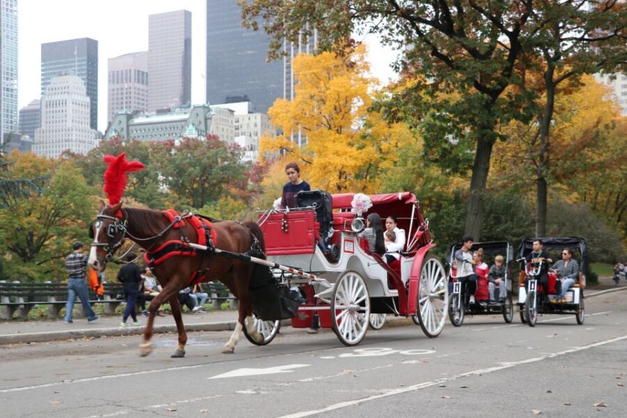 Manhattan: VIP Private Horse Carriage Ride in Central Park - The Landmarks and Their Charm