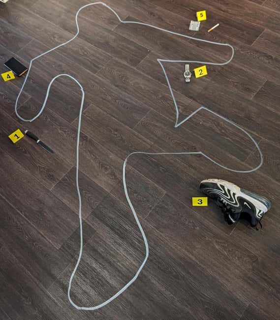 Mannheim, guided walking tour: Crime Scene Mannheim - Who Will Love This Experience?