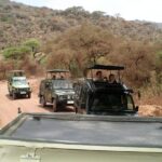 Manyara and Ngorongoro Crater - The Value of Guided Safari Tours