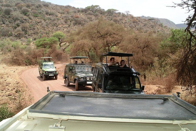 Manyara and Ngorongoro Crater - The Value of Guided Safari Tours