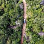 Maputo Special Reserve - 1 Day - Analyzing the Experience: What to Expect