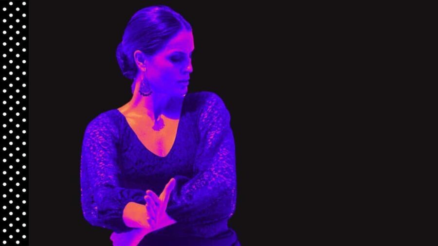 Marbella: 1-Hour Flamenco Dance Class with a Spanish Teacher - The Practicalities: Booking, Cost, and Comfort