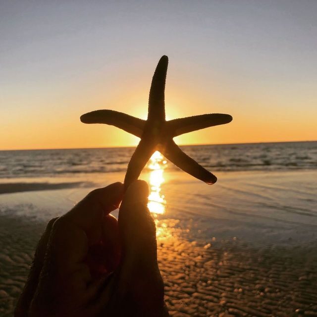 Marco Island: 2 Private Hour Sunset Boat Tour - What to Expect from Your Sunset Boat Tour