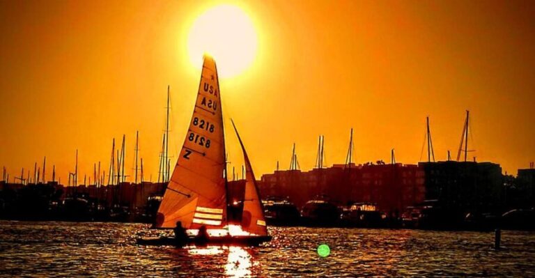 Marina Del Rey Luxury Boat Cruise Wine, Charcuterie Sealions - What Each Part of the Tour Offers
