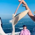 Marine Dolphin Seal Cruise - What Makes It Stand Out?