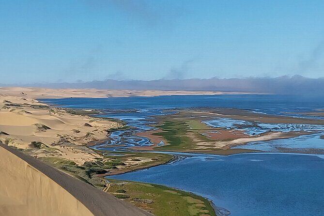 Marine Dune Day: Catamaran Cruise and Sandwich Harbor Dune Drive - The Sum Up