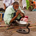 Marrakech 3-Hour Walking Tour - Insights from Past Travelers