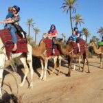 Marrakech Activities: Camel Ride Tour - Why This Tour Could Be Perfect for You