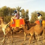 Marrakech activities: Camel ride tour Marrakech - Who Should Consider This Tour?
