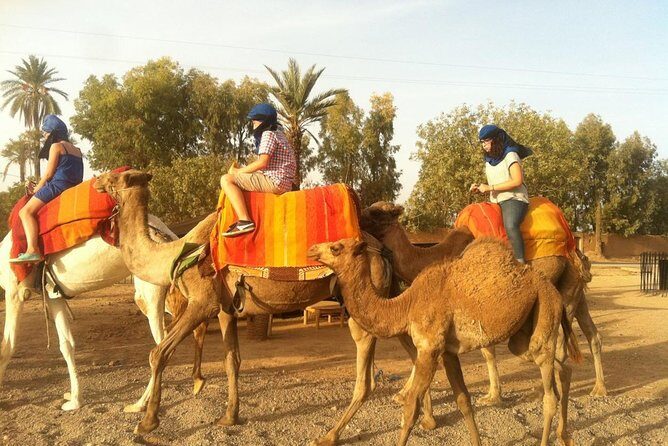 Marrakech activities: Camel ride tour Marrakech - Who Should Consider This Tour?