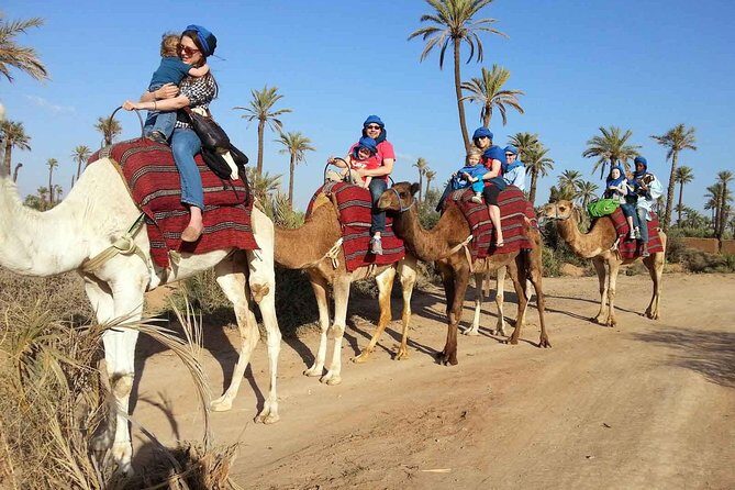 Marrakech Activities: Camel Ride Tour - Why This Tour Could Be Perfect for You