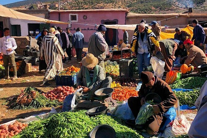 Marrakech: Agafay Desert Dinner Show and Sunset Camel Ride - Why We Appreciate This Tour