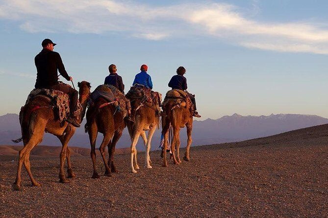 Marrakech : Agafay Desert Evening Trip Under the Stars - The Value Proposition