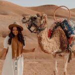 Marrakech Agafay Desert Package Quad Bike&Camel POOL Dinner Show. - What Makes This Tour Stand Out?