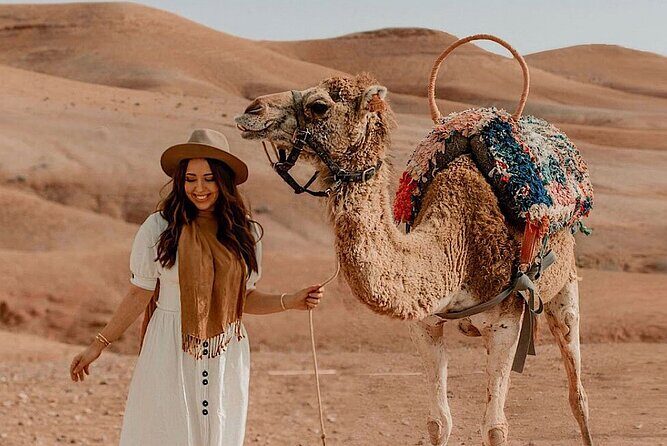 Marrakech Agafay Desert Package Quad Bike&Camel POOL Dinner Show. - What Makes This Tour Stand Out?