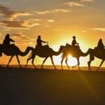 Marrakech Agafay Desert Sunset dinner & show Fire & Berber music - Stop at the Argan Oil Cooperative